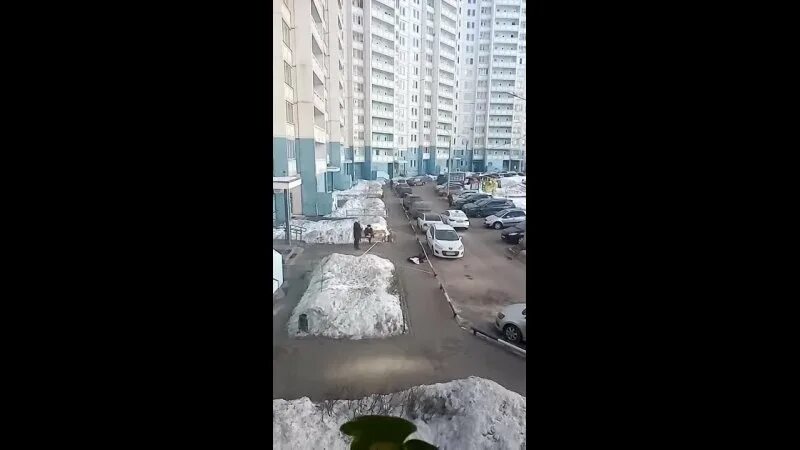 падение с 12 этажа ноябрь 2022. человек выпал из окна владимира невского в воронеже. выпали из окна в кучино. выпал из окна 3 октября 2022 в подольске. 23 выпал.