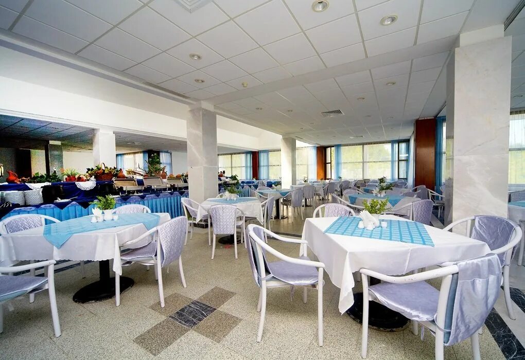 Пансионат «самшитовая роща», абхазия, пицунда). Отель самшитовая роща абхазия. Пансионат «самшитовая роща», абхазия, пицунда). Пицунда абхазия санатории самшитовая роща. Санаторий самшитовая роща пицунда.