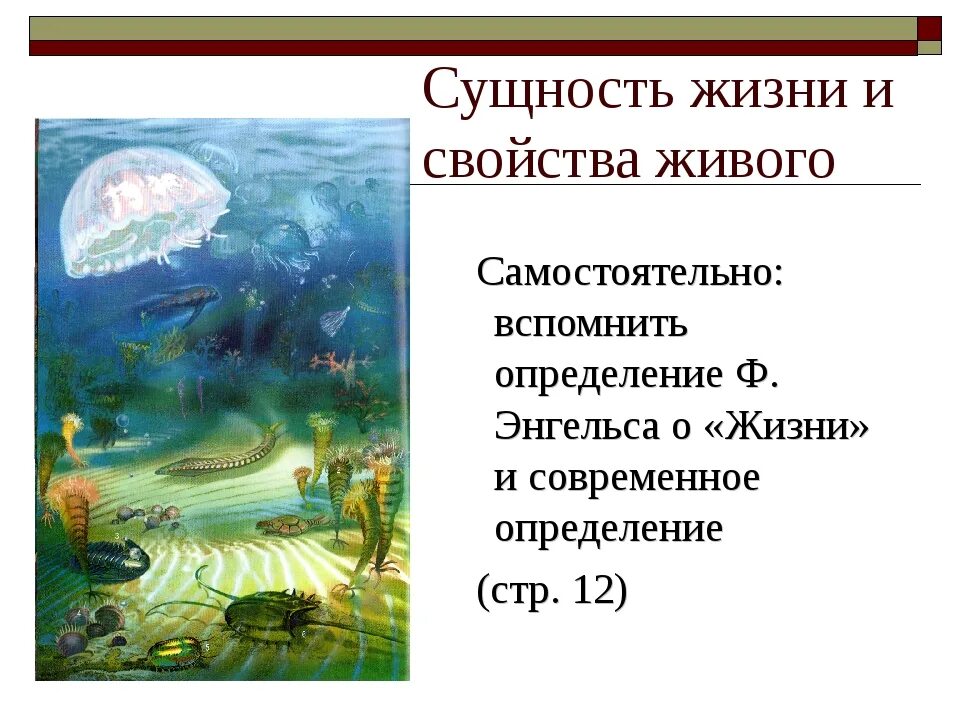 Проблемы сущности жизни. Сущность жизни. Определение сущности жизни. Сущность жизни и свойства живого. Сущность жизни на земле.