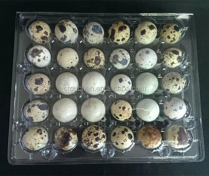 Лоток для перепелиных яиц на 20 яиц перепелиных. Перепелиные яйца упаковка 30 штук. Лоток для перепелиных яиц на 20 яиц. Лотки для перепелиных яиц пластиковая. Где купить перепелиные яйца