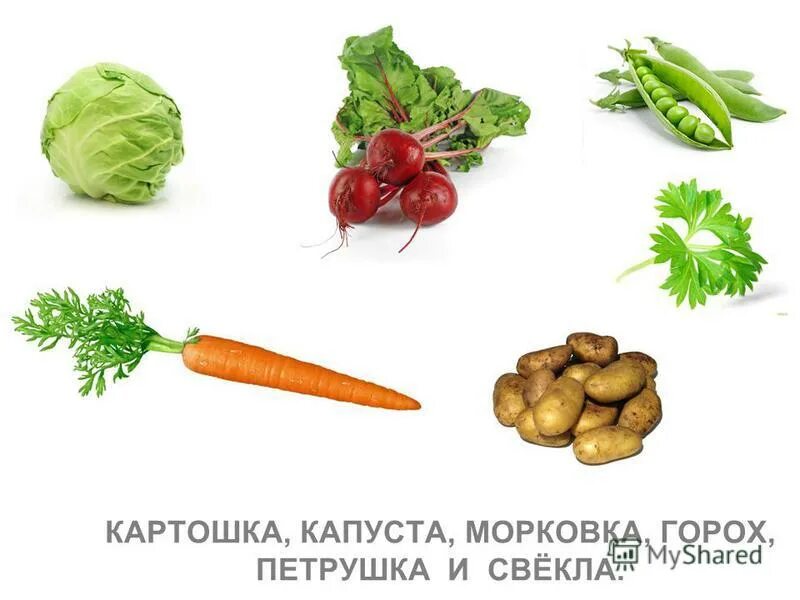 Картошка морковь репа капуста это. Ю тувим овощи. картошка капуста морковка горох. хозяйка с базара пришла. однажды хозяйка с базара пришла стих.