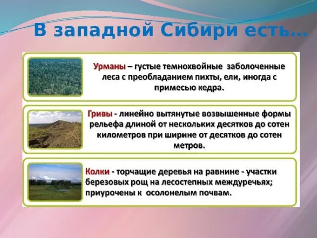 Почвы Западно сибирской равнины 8 класс. Типы почв Западной Сибири. Строение почв Западно сибирской равнины. Типы почв Западно сибирской равнины. Восточно европейская равнина особенности механического состава почв