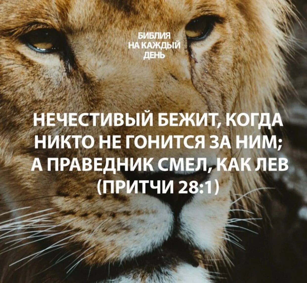 Притчи 28