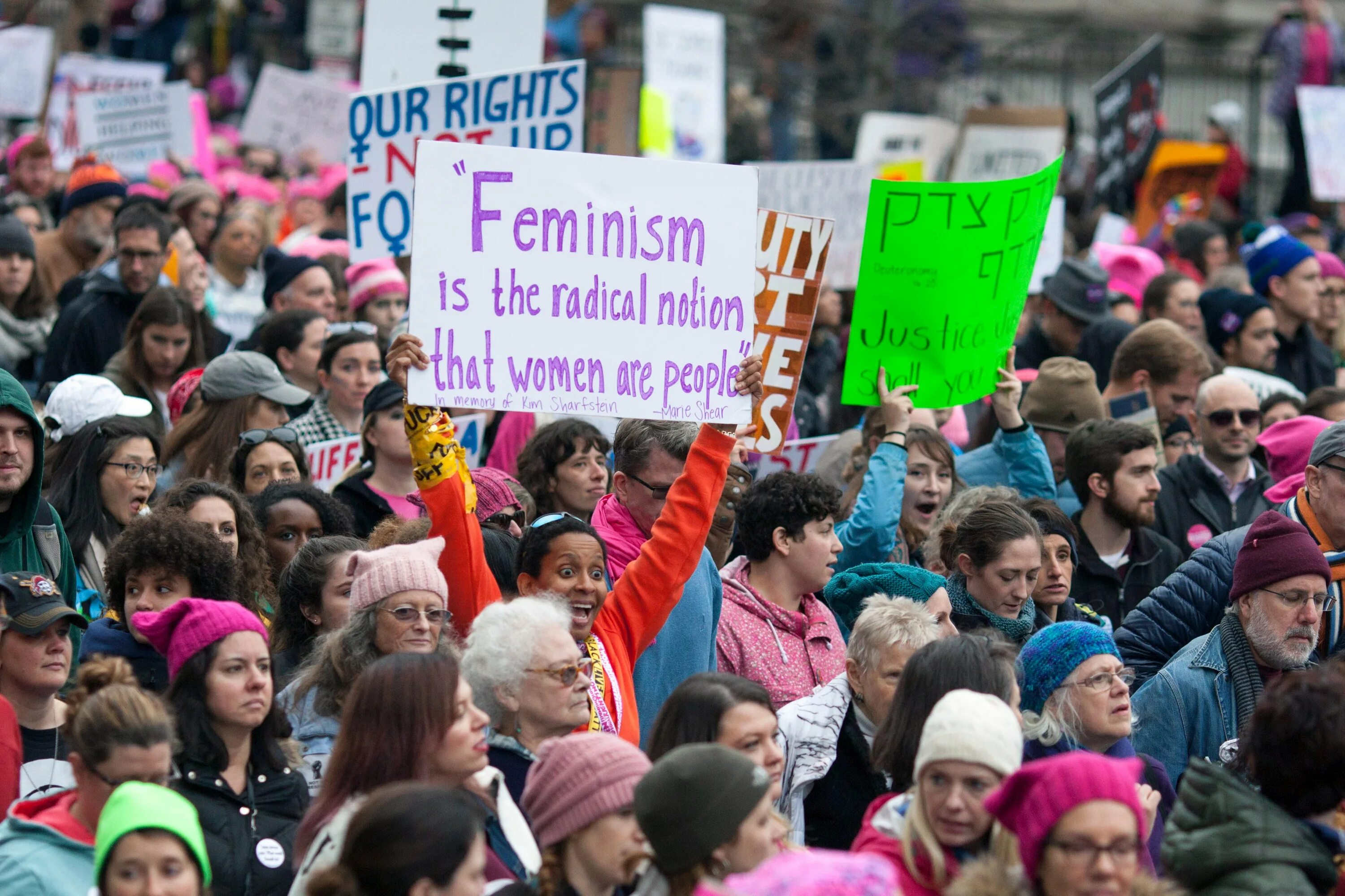 Год феминизма. 3 Волна феминизма. Третья волна феминизма в США. Марш феминисток в США. Феминизм картинки.