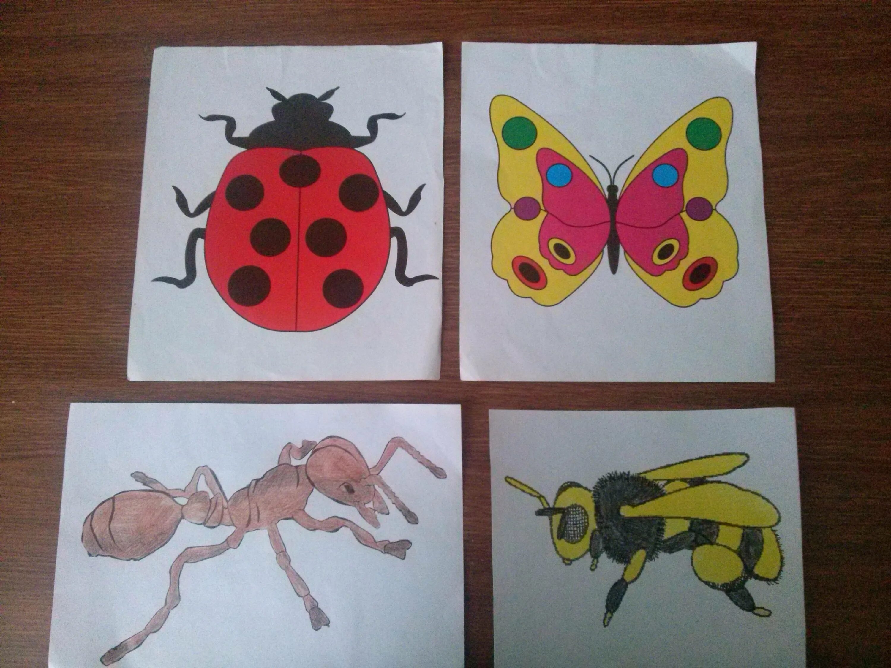 Конспект насекомые старшая группа. Рисование насекомых в детском саду. Рисование насекомые старшая. Рисование насекомые в дет саду. Рисование в старшей группе на тему насекомые.