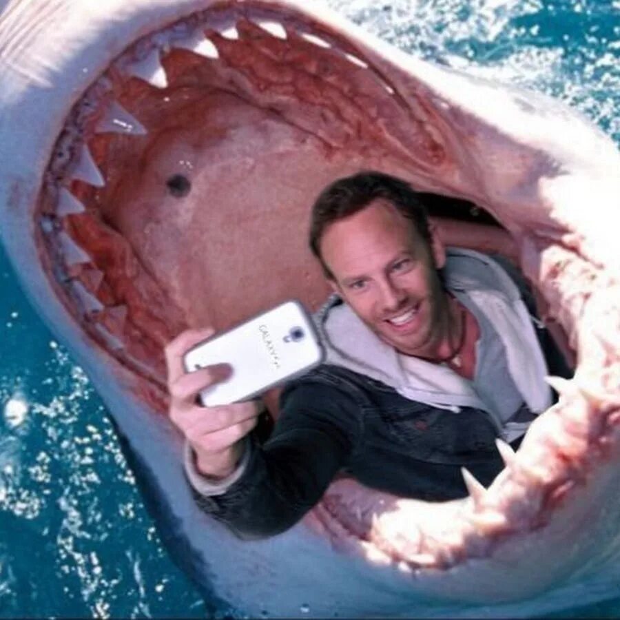 Фото человека с акулой. Фото человека с акулой. Акула мако. Shark man. Фото человека с акулой.