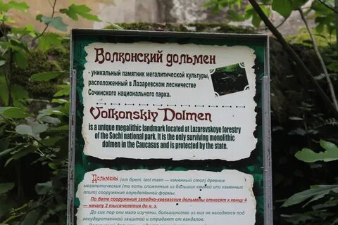 Лазаревское лесничество