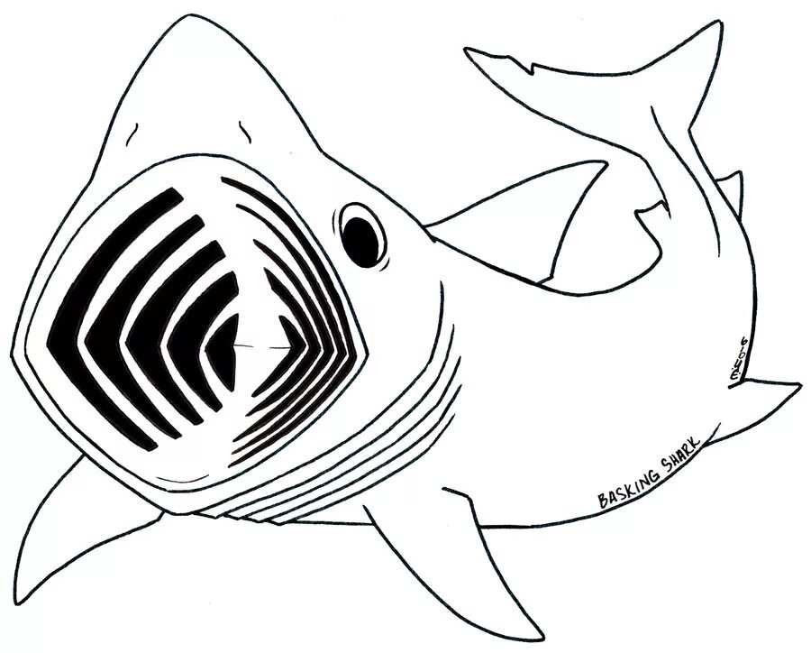 Раскраски акула. Акула раскраска. Раскраска для мальчиков акула. Раскраска акула с рыбками. Слоновая акула раскраска.