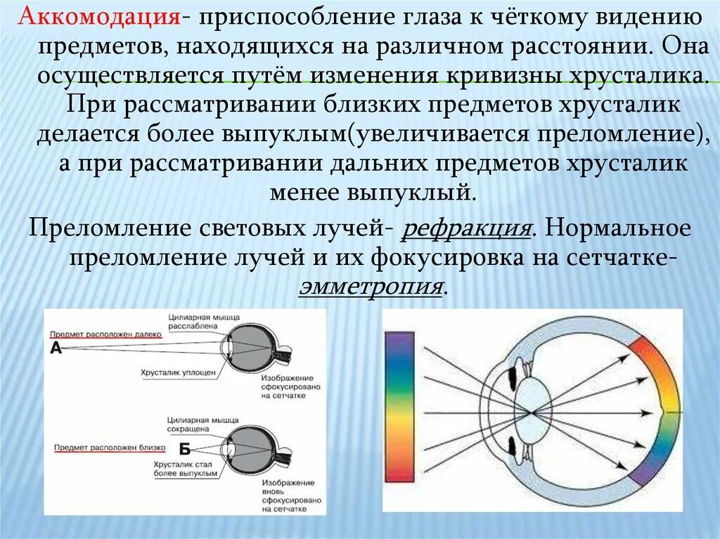 Фокусировку изображения обеспечивает