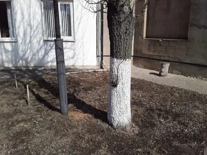Зачем белить