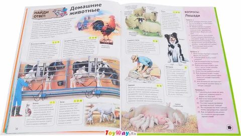 Найди в энциклопедии или интернете