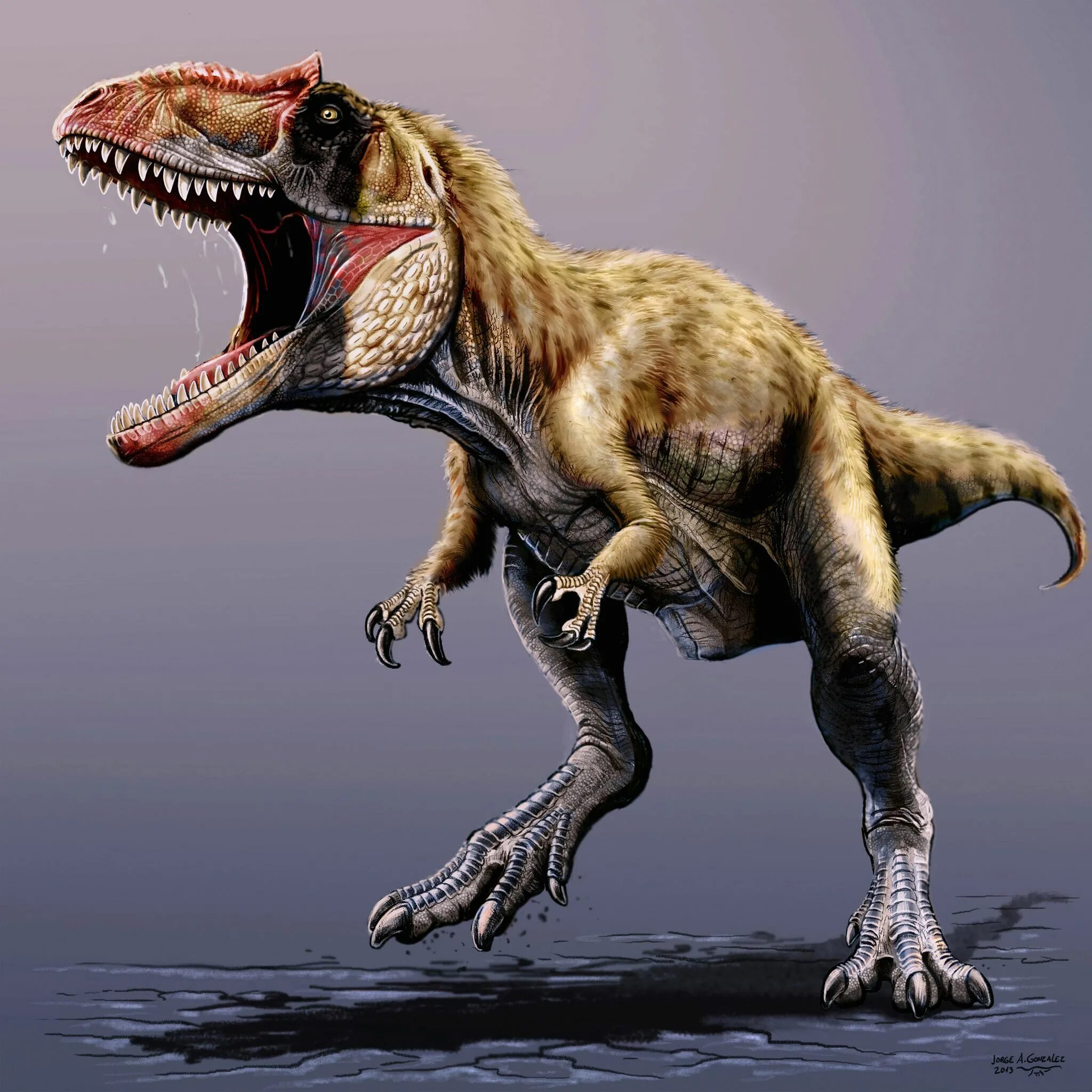 Тираннозавр рекс. Тираннозавр рекс лапы. Королевский Тираннозавр. Динозавр ти рекс.