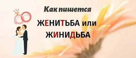 Жениться слова