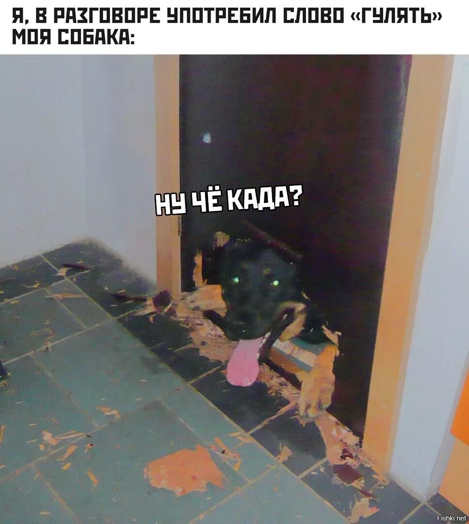Дали каде