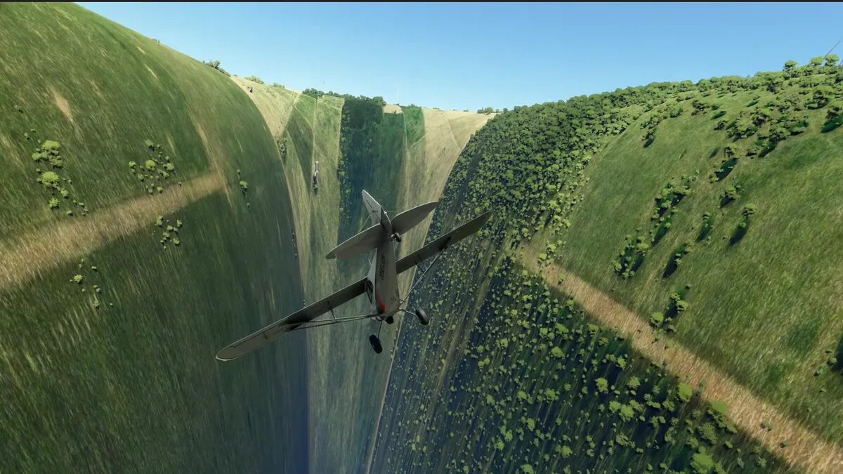 King of the world simulator