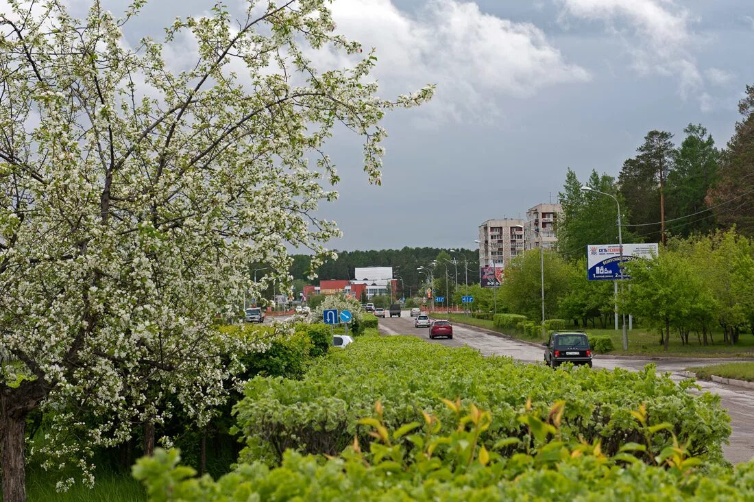 Черемушки иркутск