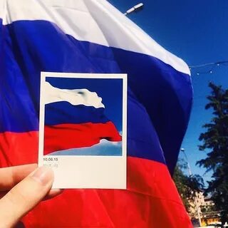 Друзья стяга