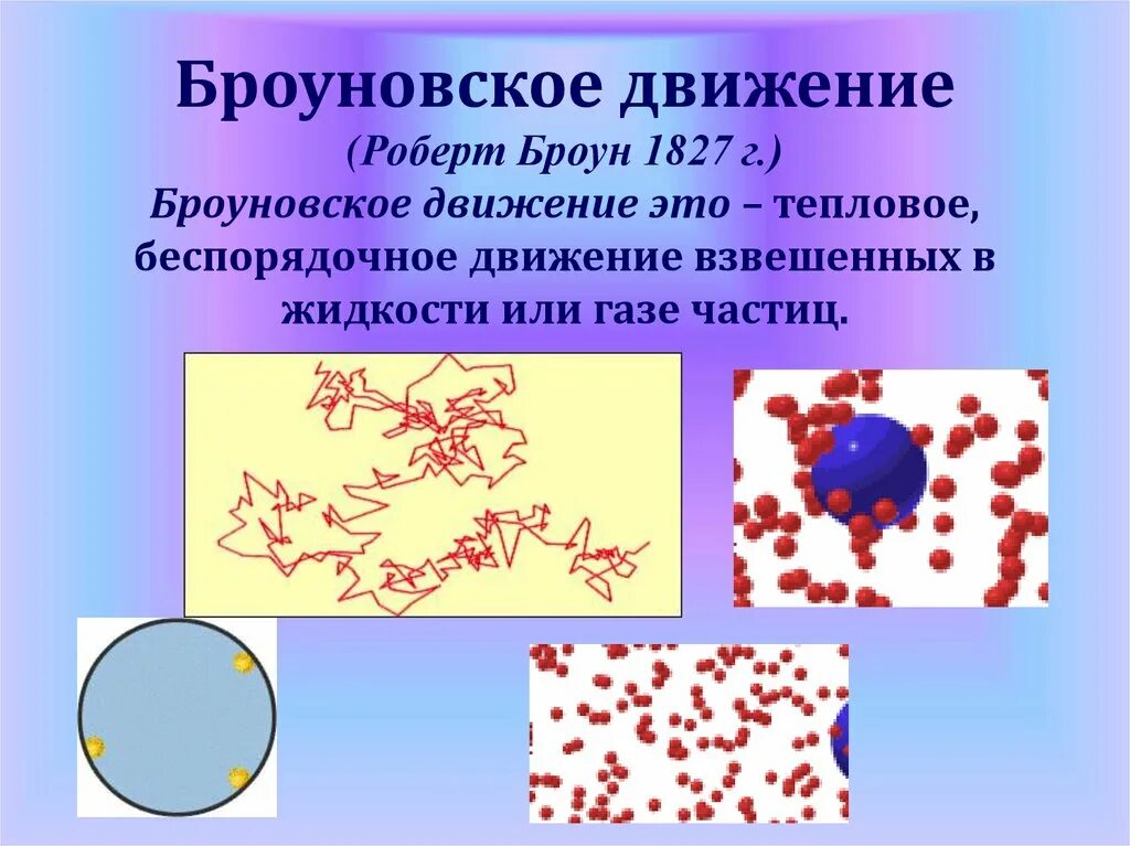 Модель броуновского движения. Броун броуновское движение. Броуновское движение МКТ. Тепловое броуновское движение. Основные положения МКТ броуновское движение.