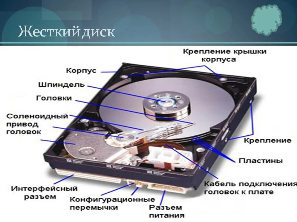 Различия жестких дисков. Привод головок жесткого диска. Устройство HDD. Устройство жесткого диска компьютера. Корпус для жесткого диска.