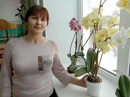 Цветы мари турек