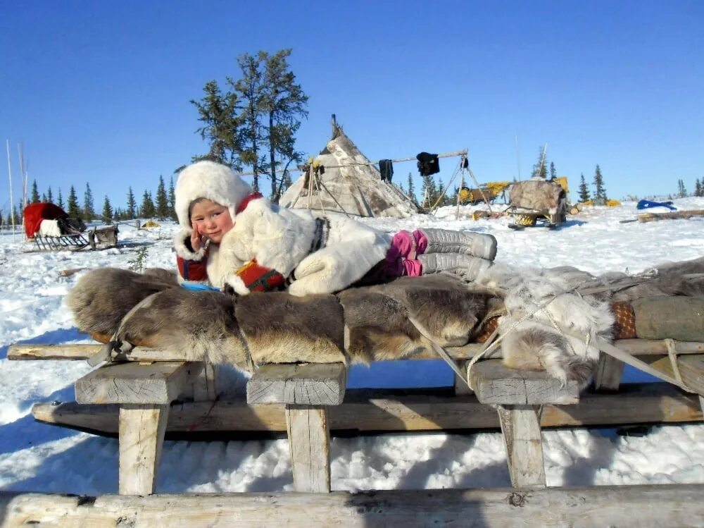 день оленевода 2023 яр-сале. день оленевода надым 2022. день оленевода 2021 надым. день оленевода в надыме в 2022 году. день оленевода в надыме 2020.