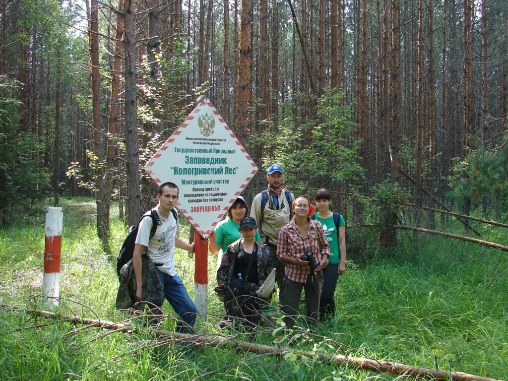 реликтовый лес кологрив. заповедники расположенные в зоне лесов. кологривский заповедник костромской. заповедники лесной зоны. реликтовый лес костромской области.