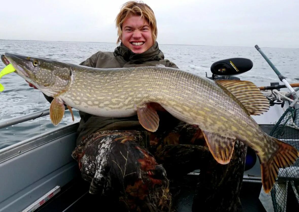 Щука в Рузском водохранилище. Щука трофей. Большая рыба щука. Большая щука в руках.