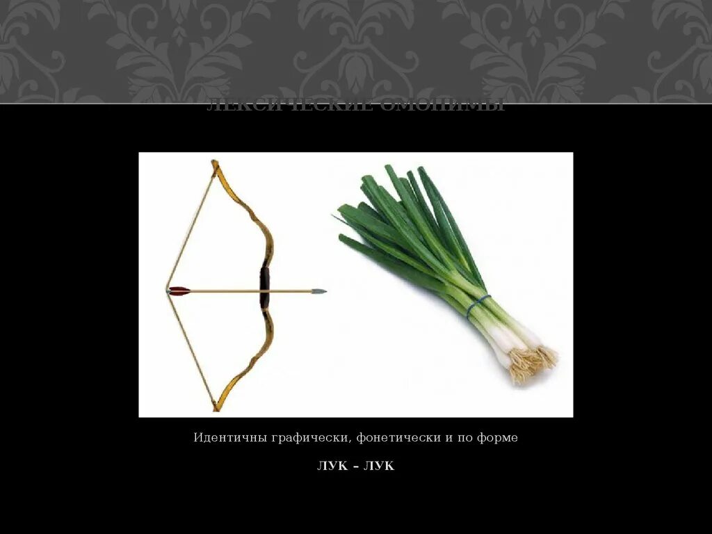 Мышь значение слова омонимы. Омонимы лук картинки. лук растение и лук оружие это омонимы или многозначные слова. лук омонимы картинка черно белая. найдите омонимы горький лук.