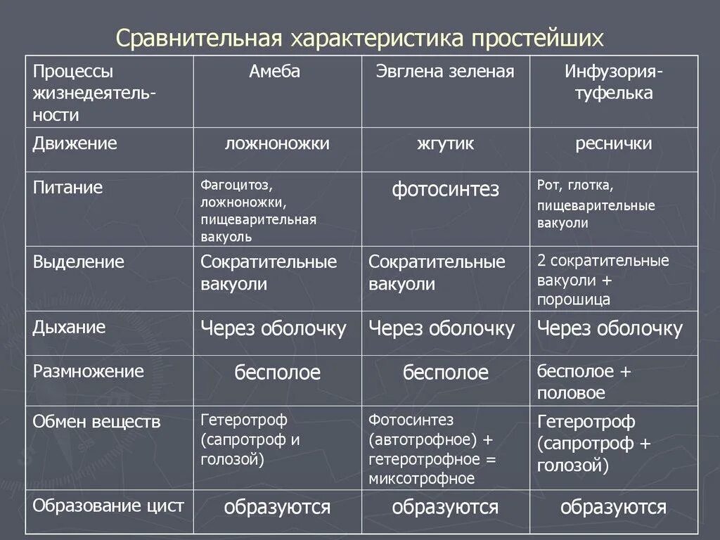 Сделайте сравнительный анализ положительных