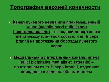 Функции топографии