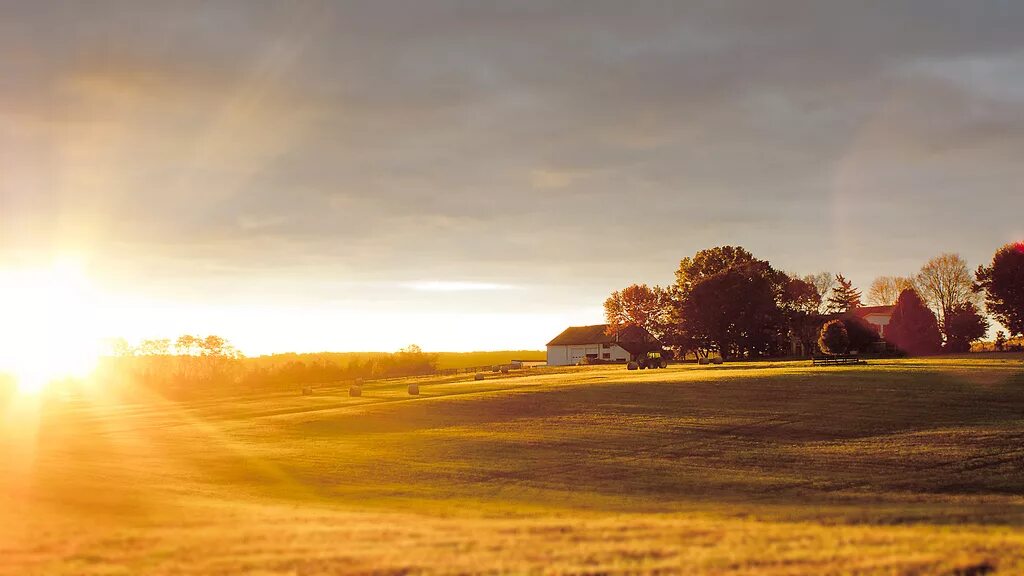 Advantages of living in the countryside. Country Life. The Morningside Yellow. STWR Sunset аут.