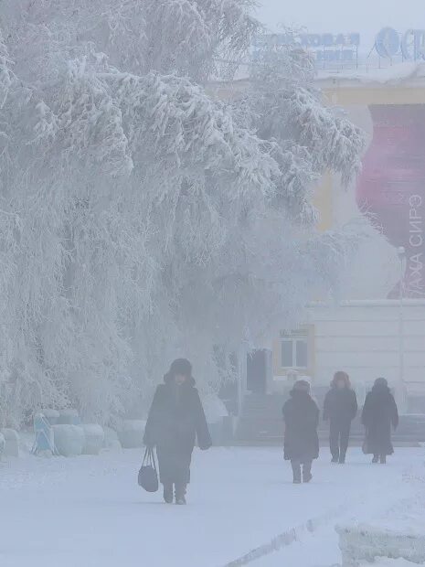 Самый холодный месяц в якутске