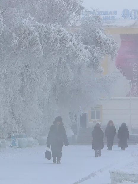 Якутск зима. Якутск зимой. Самая холодная зима. Якутск зимой туман.