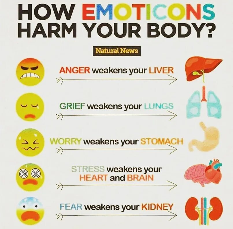 Positive and negative emotions. How to Control your emotions. Our emotions. Health Issues. How's your health