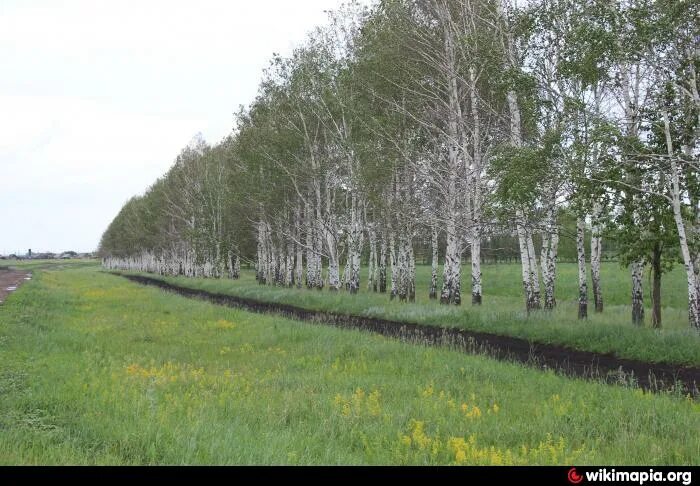 Село Крутояр Красноярский край. Крутояр Саратовская область. Крутояр деревня. Село Крутояр Ужурского района.