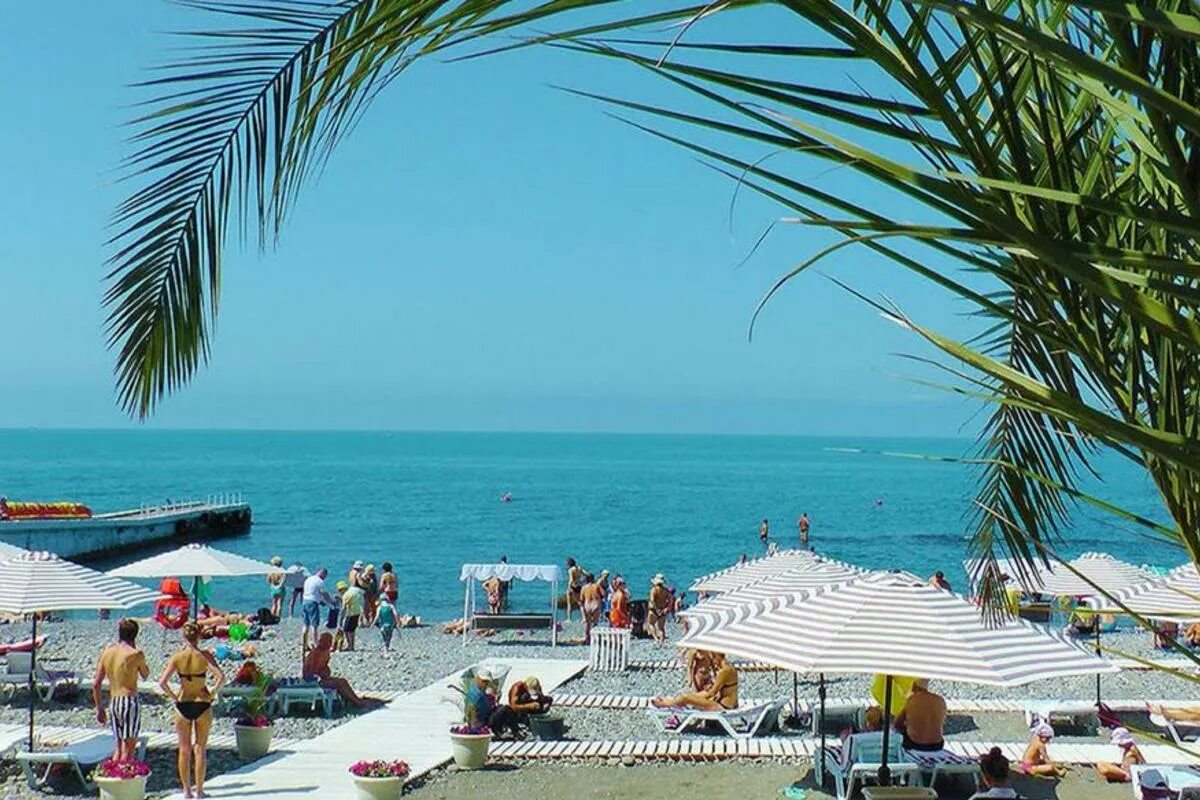 Сочи летом отзывы. Черное море курорт Сочи. Сочи пляж. Пляж берег Сочи. Городской пляж Сочи.
