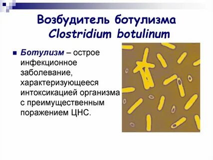После лечения клостридий