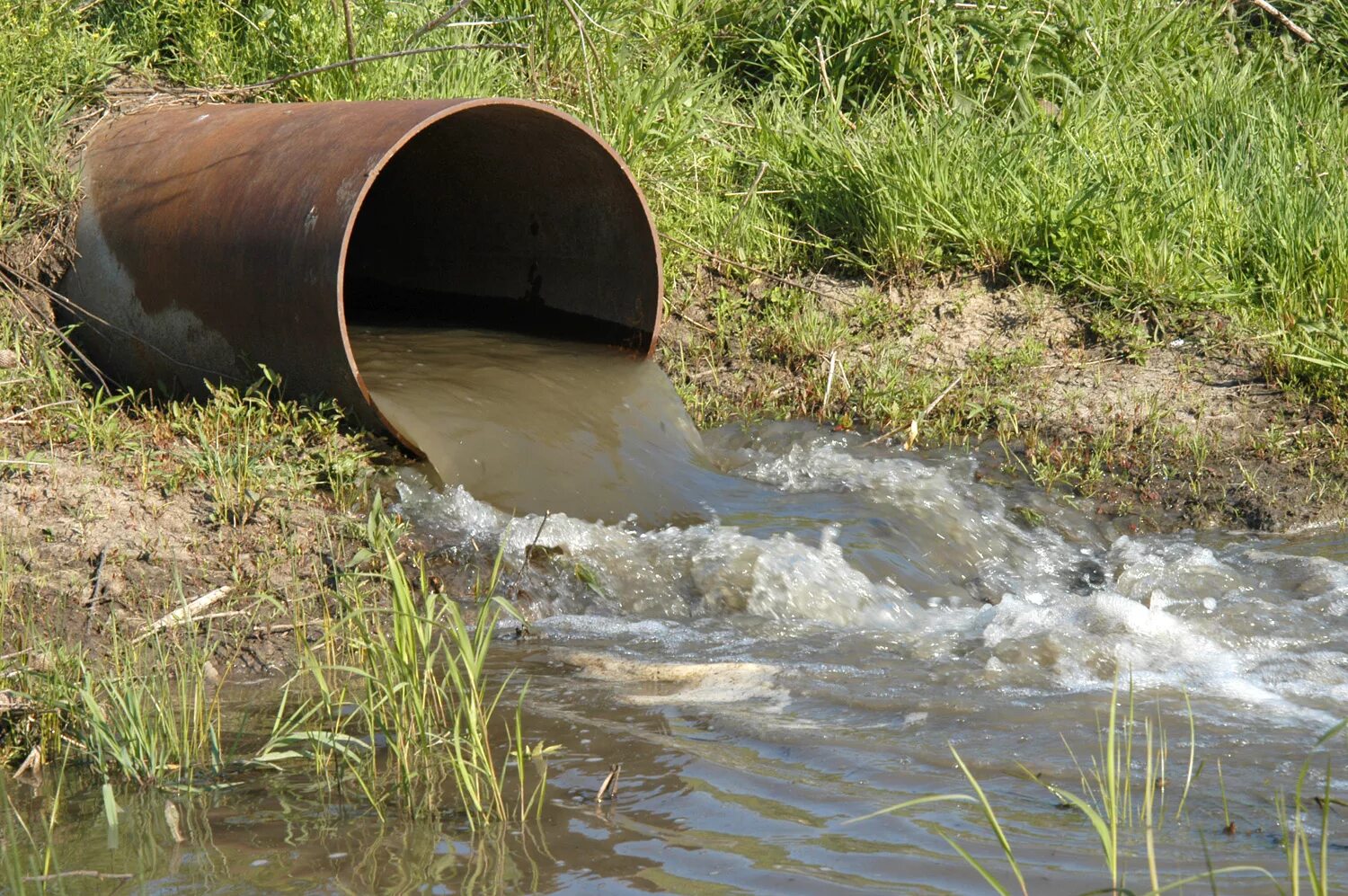 Загрязнение рек сточными водами. Река Пельшма Вологодская область. Загрязнённая река завод. Сточные воды. Канализационные воды.