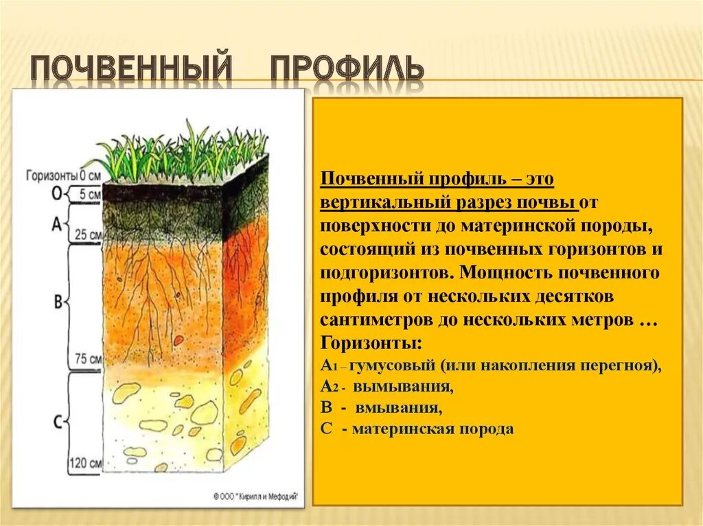 Какими цифрами обозначены следующие типы почв. Строение почвы почвенные горизонты. строение почвы подвесные горезонты. структура почвы почвенные горизонты. почвенный профиль 3 слоя.