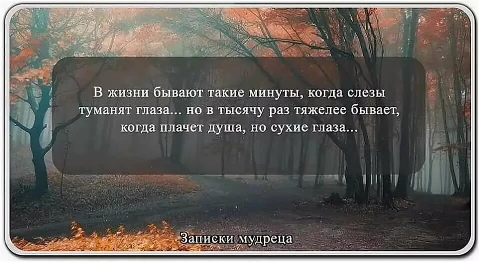 Душа цитаты со смыслом до слез. Цитаты про боль в душе. Цитаты про боль. Афоризмы о душевной боли. Красивые статусы.