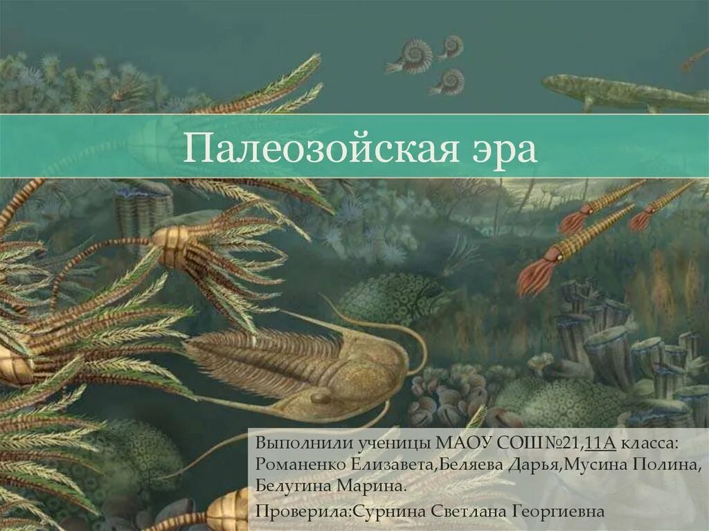 Палеозой кратко. Кембрийский период палеозойской эры. Морские лилии палеозойской эры. Палеозойская Эра биология 11 класс. Презентация на тему Палеозойская Эра.