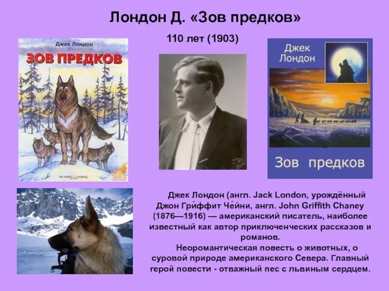 Джек Лондон "Зов предков". Зов предков презентация. Лондон д. "Зов предков". Рассказ Зов предков. Джек лондон описание