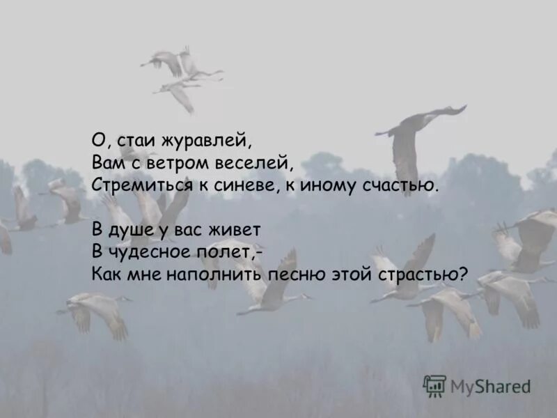 Основная мысль стихотворения журавли. Стихотворение Журавли. Фразы про журавлей.