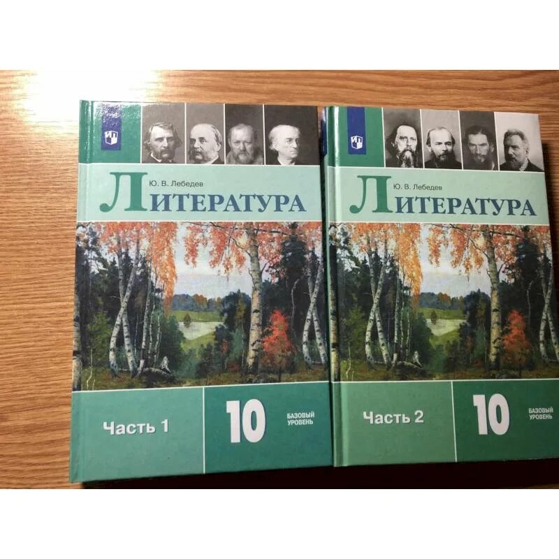 Мировая литература 10 класс. Литература 10 класс учебник Лебедев базовый уровень. Литература 10 класс Лебедева. Лебедев ю в литература 10 класс. Литература 10 класс Лебедев Коровина.