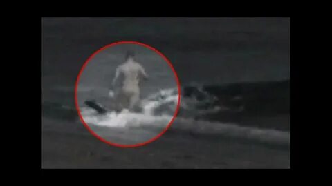 Нападают ли касатки на людей