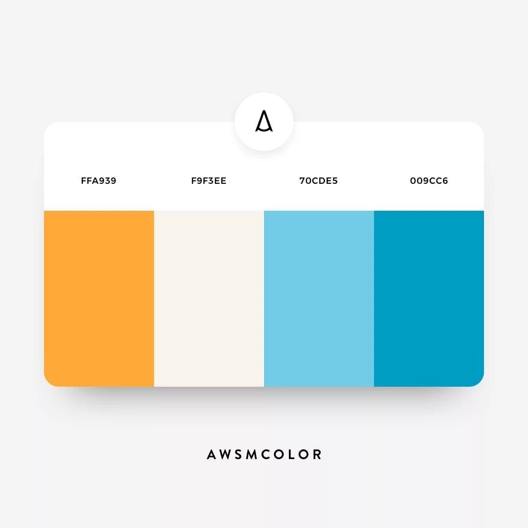 Much color. Orange color palette for brand. awsmcolor. website color palette. brand colors 60% 30% 10%.