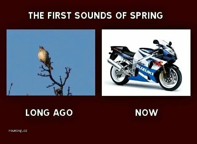Первые звуки весны. Первые звуки весны мотоцикл. Мото шутки.