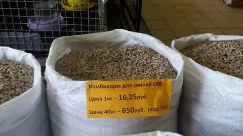 Можно давать комбикорм поросятам