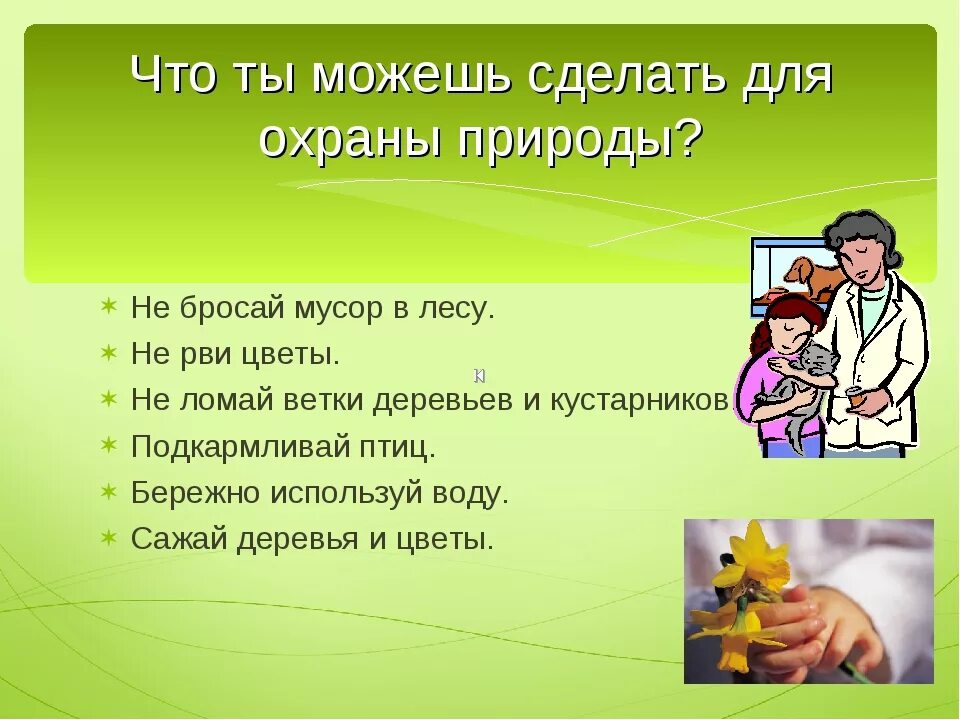 Что делает охрана природы. Что может сделать человек для охраны природы. Что может сделать гражданин для защиты природы. Что можно сделать для охраны природы. Что может сделать гражданин для охраны природы.