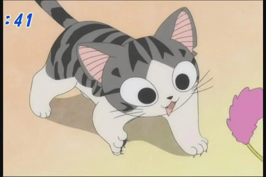Chi animation